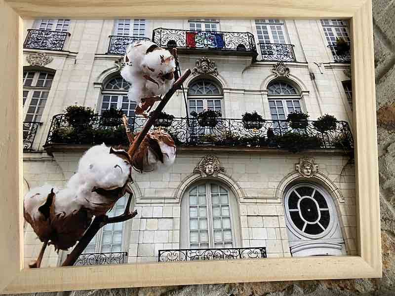 Coton devant une façade nantaise, expo Rossila Goussanou