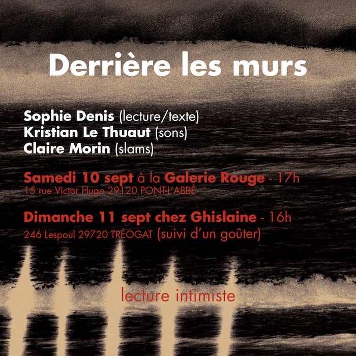 Affiche soirée Sophie Denis